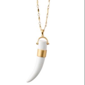 Sahara Tusk Stella & Dot Necklace
